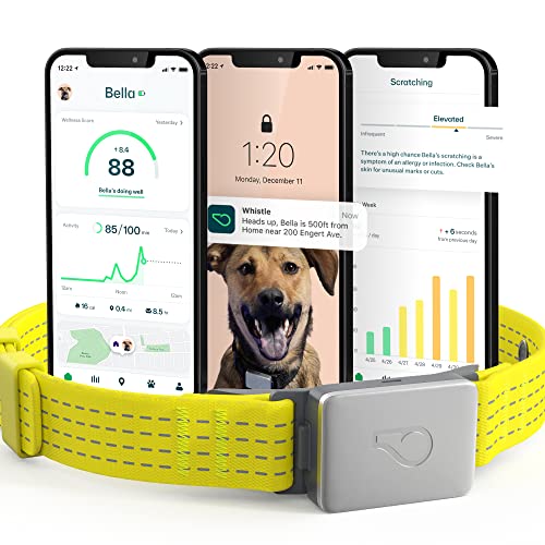 Whistle gPS + Health + Fitness - Smart Dog collar Waterproof Dog gPS Tracker Plus Health & Fitness Monitor 247 Pet Tracker 2 Rec