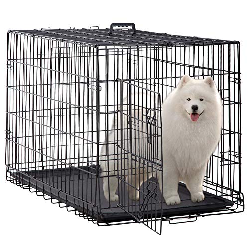 Bestshop Dog crate Large Dog crate 48 Inch Double-Door Folding Medium Dog Kennel Wire Pet cage with Divider Plastic Tray Indoor Outdoor T