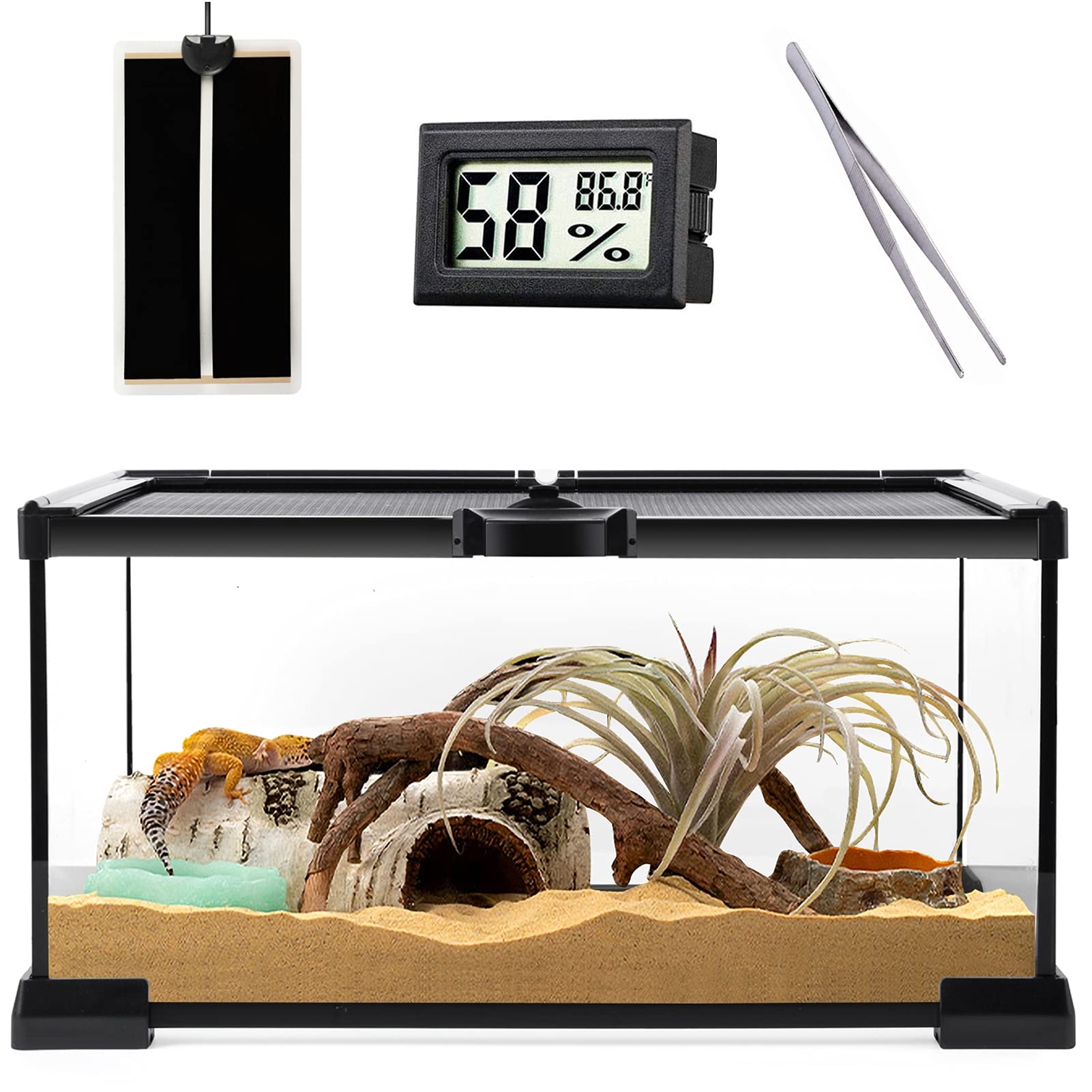 HELIME Reptile glass Terrarium - Amphibians Habitat cages 12 x 8 x 6.3 Starter Kits Top Sliding Door Screen Ventilation Mini Tanks with