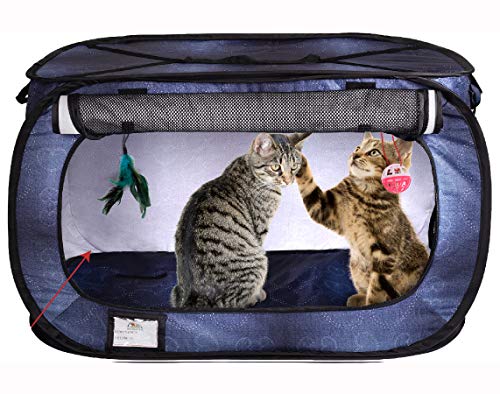 CHEERING PET cat crate Stress Free Travel cat Kennel Portable