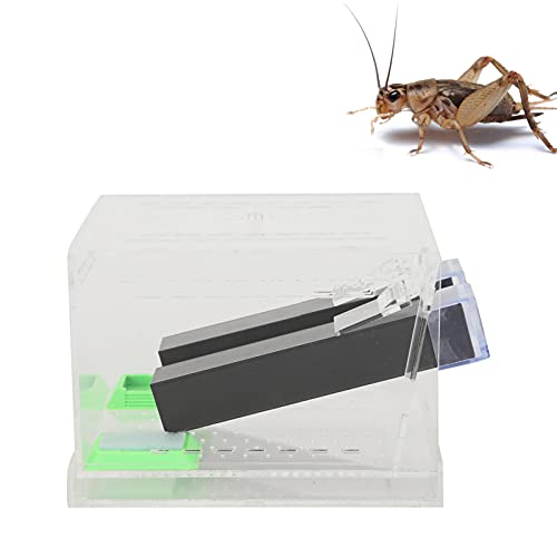 LZKW cricket Keeper with Tubes Easy to Equipped with WaterFood Feeding Tub cricket care Kit for Home for Office(L)
