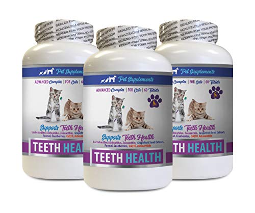 PET SUPPLEMENTS cat Bad Breathe - cAT Teeth Health - Advanced Mouth Health complex - Immune Boost - Vitamin Supplement for cats 