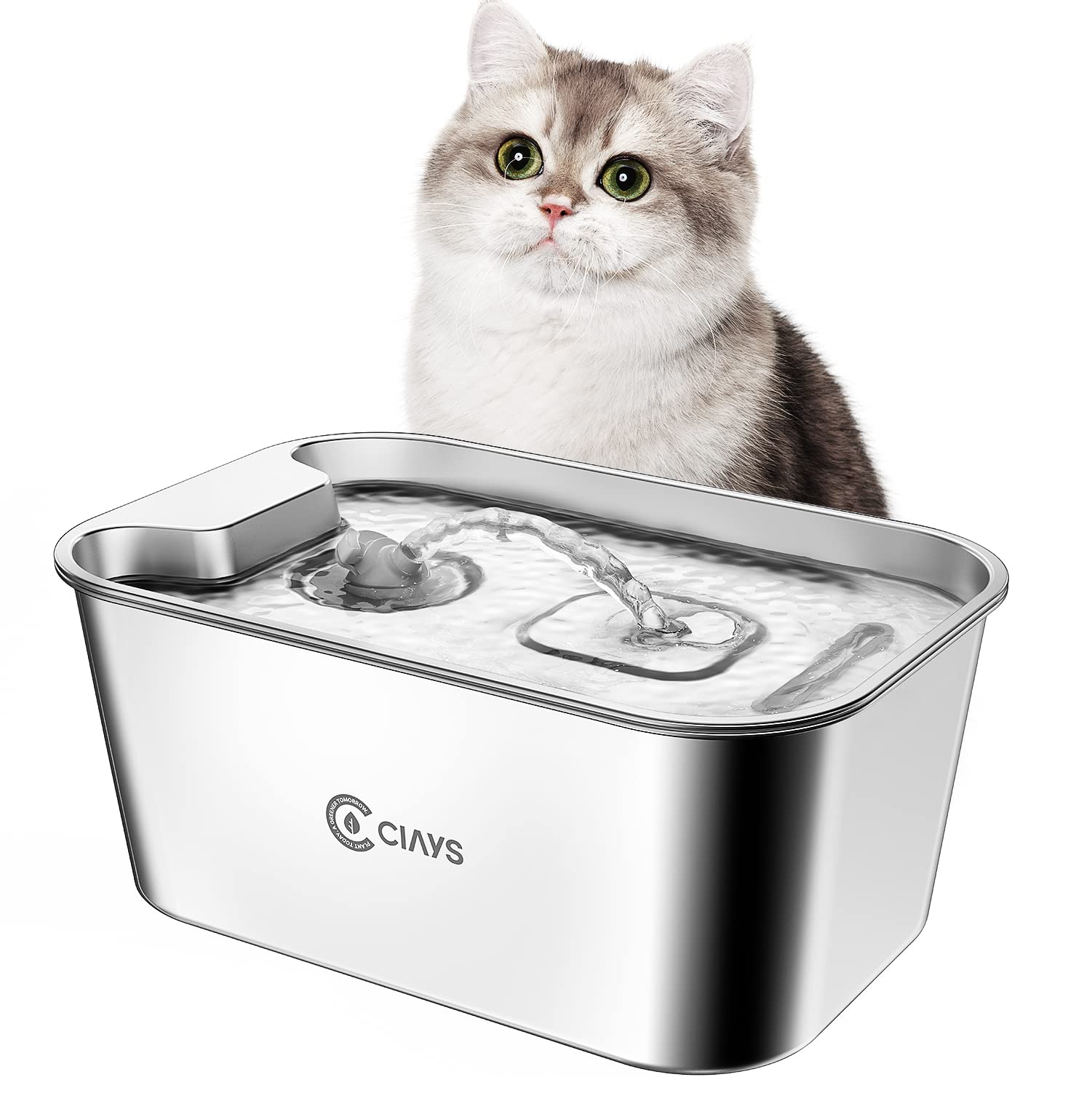 Amazon Stainless Steel Cat Water Bowl Pets At Home Kenida