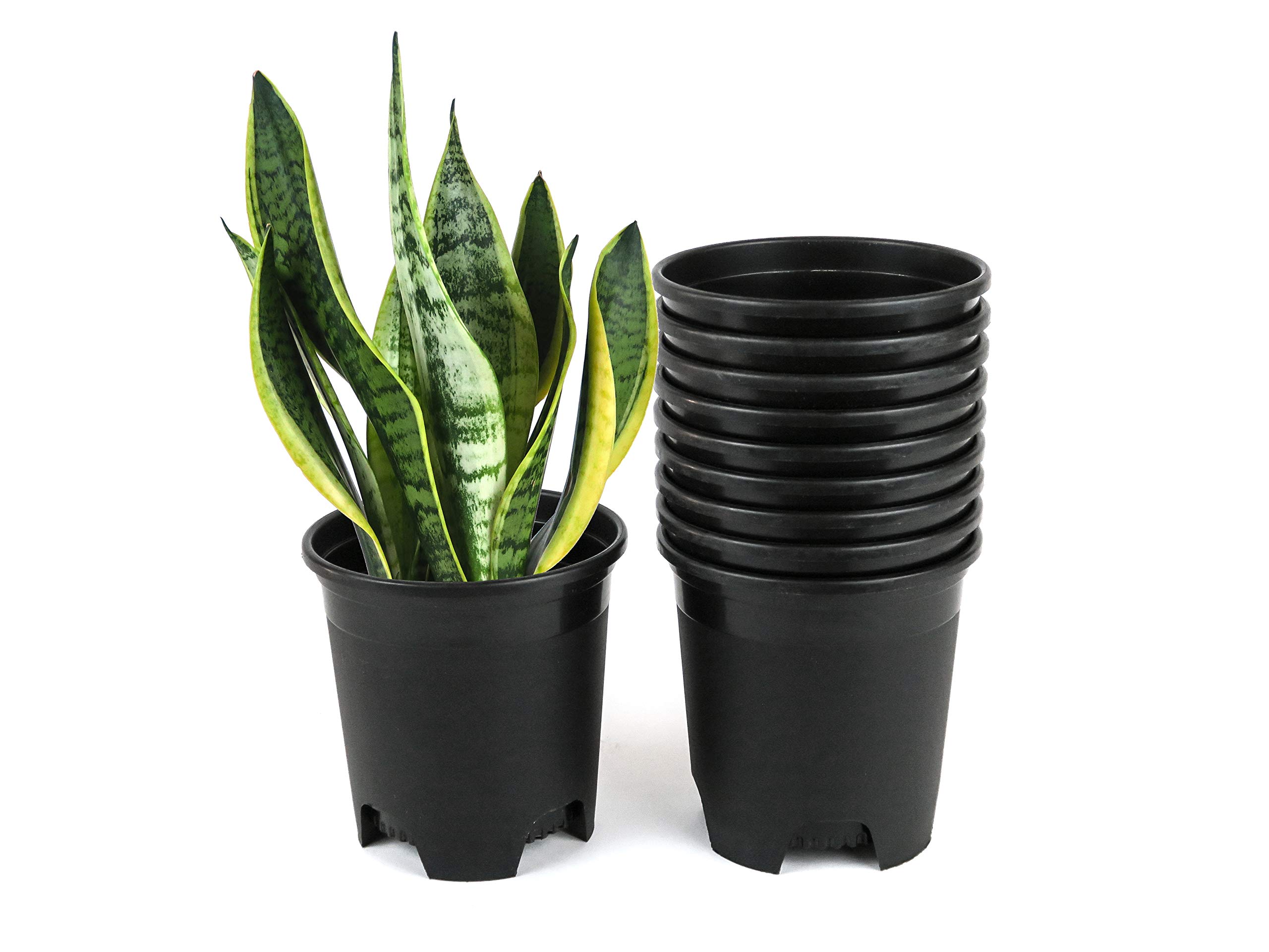 Cotta Planters 45 Inch Nursery Pot Plastic Planters For Outdoor Indoor Plants Gardening Flower Pots 035 Gallon 10-Pack Black Pot Liners With Dr