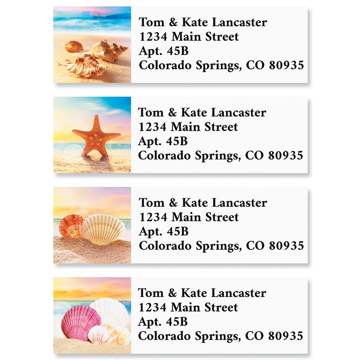 Colorful Images Seashell Beach Personalized Return Address Labels - 4 Designs, Set Of 240, Small Self-Adhesive, Flat-Sheet Labels, By Colorful I