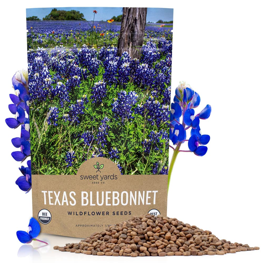 Sweet Yards Texas Bluebonnet Wildflower Seeds - Bulk 14 Pound Bag - Over 4,000 Native Seeds - Texas State Flower