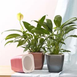 Fengzhitao Self Watering Planter, African Violet Pots,Lazy Flower Pot,Automatic-Watering Planter Flower Pot For Succulents, Herb