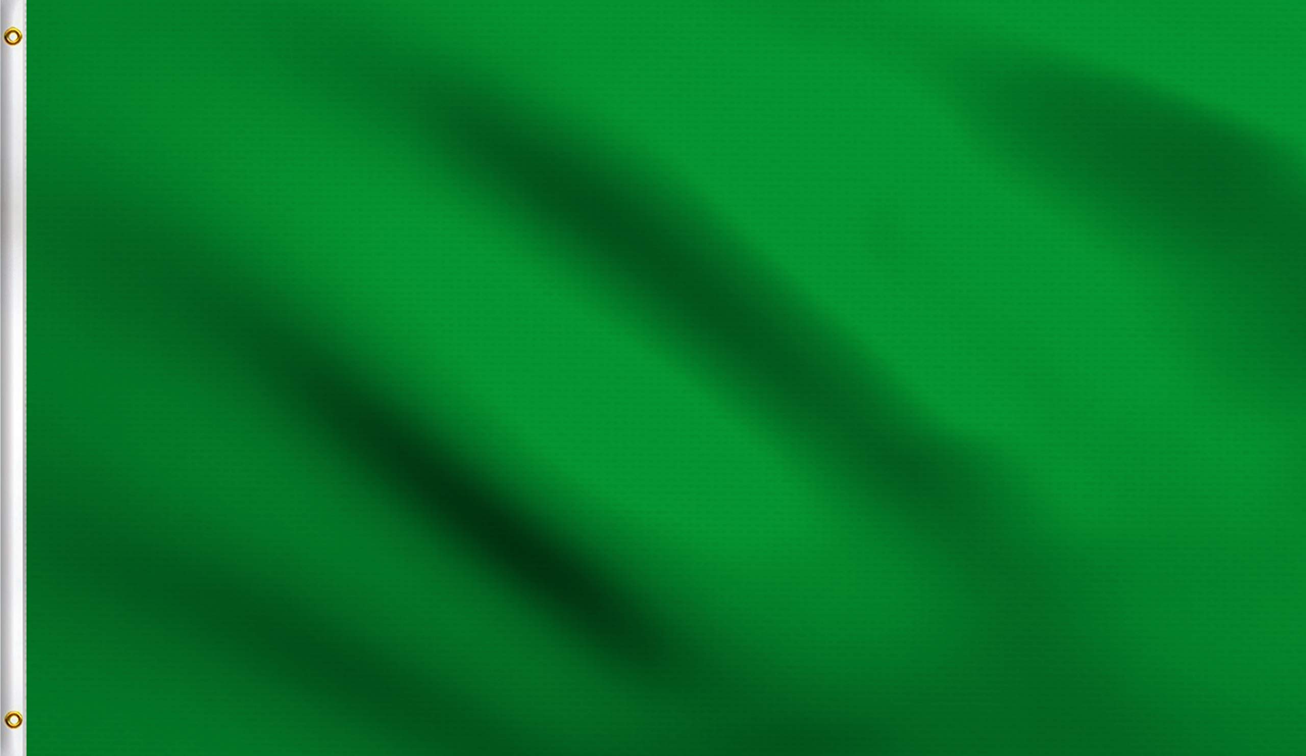 DMSE WHOLESALE Dmse Solid Blank Flag 3X5 Ft Foot Flag Uv Resistant (3X5 Polyester, Green)