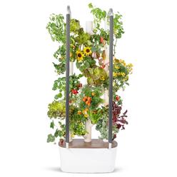Gardyn 30 Hydroponics Growing System Vertical Garden Planter - The New Generation Of Indoor Smart Garden Includes 30 Non-Gmo Ind