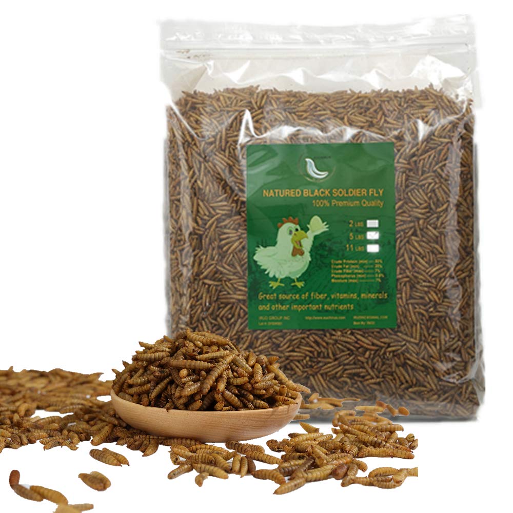 Handpoint 20Lbs Black Soldier Fly Larvae Superior To Dried Mealworms For Chickens - Non-Gmo - Treats For Birds Chickens Hedgehog