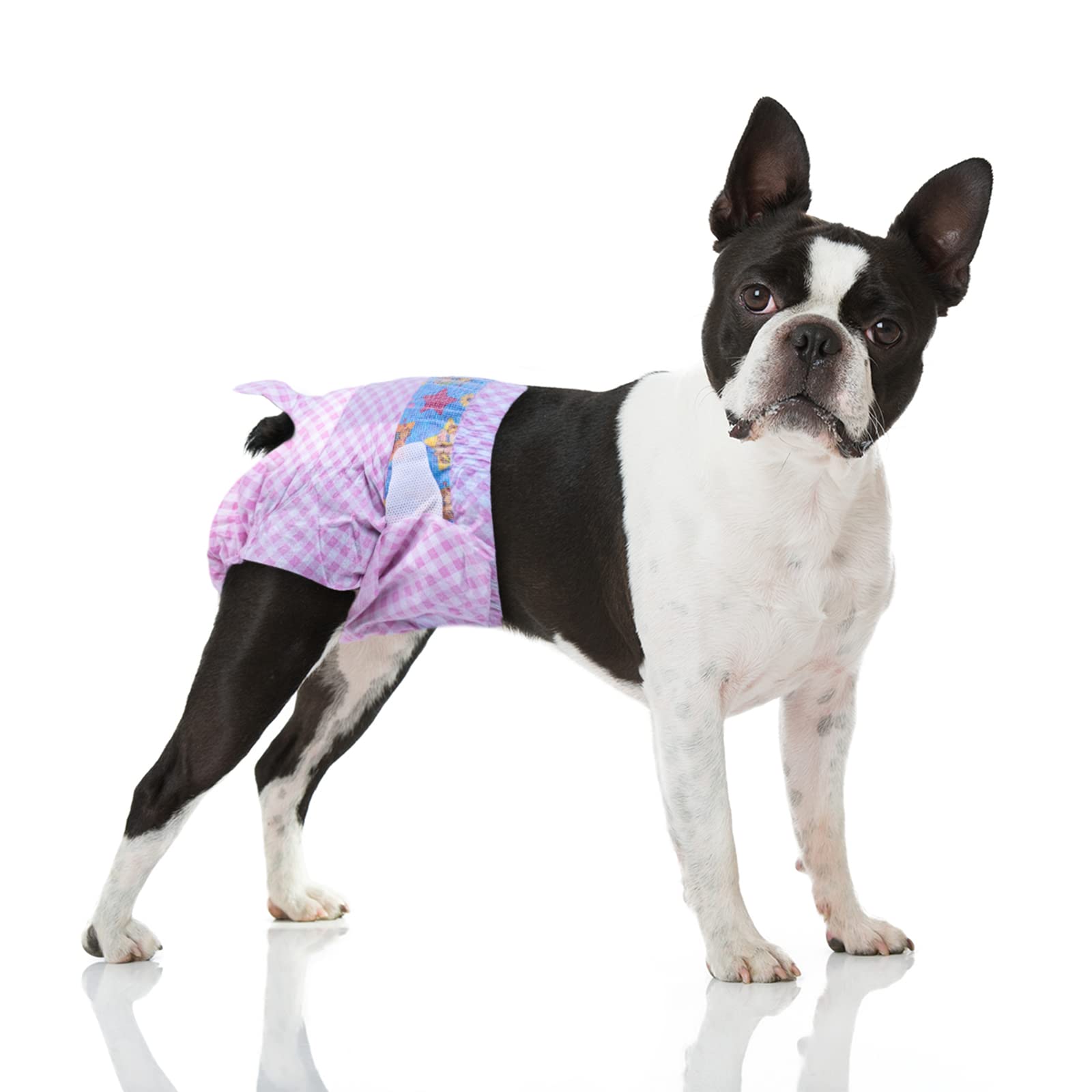 Flying Paws Disposable Female Dog Diapers, Puppy Diapers with Adjustable Elastic Waistline for