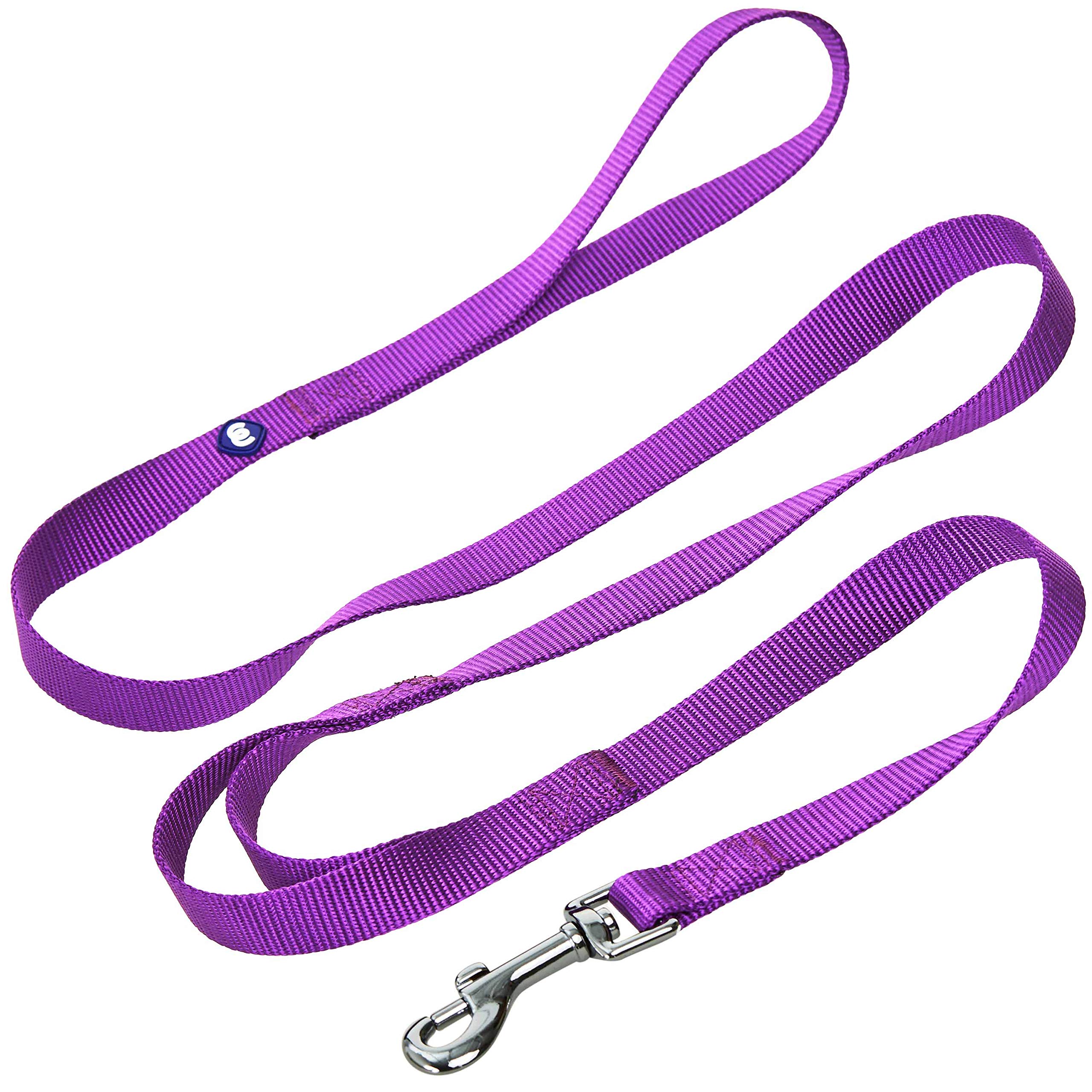 Blueberry Pet Essentials Durable Classic Dog Leash 4 ft x 1", Dark Orchid, Large, Double Handle Leashes for Dogs