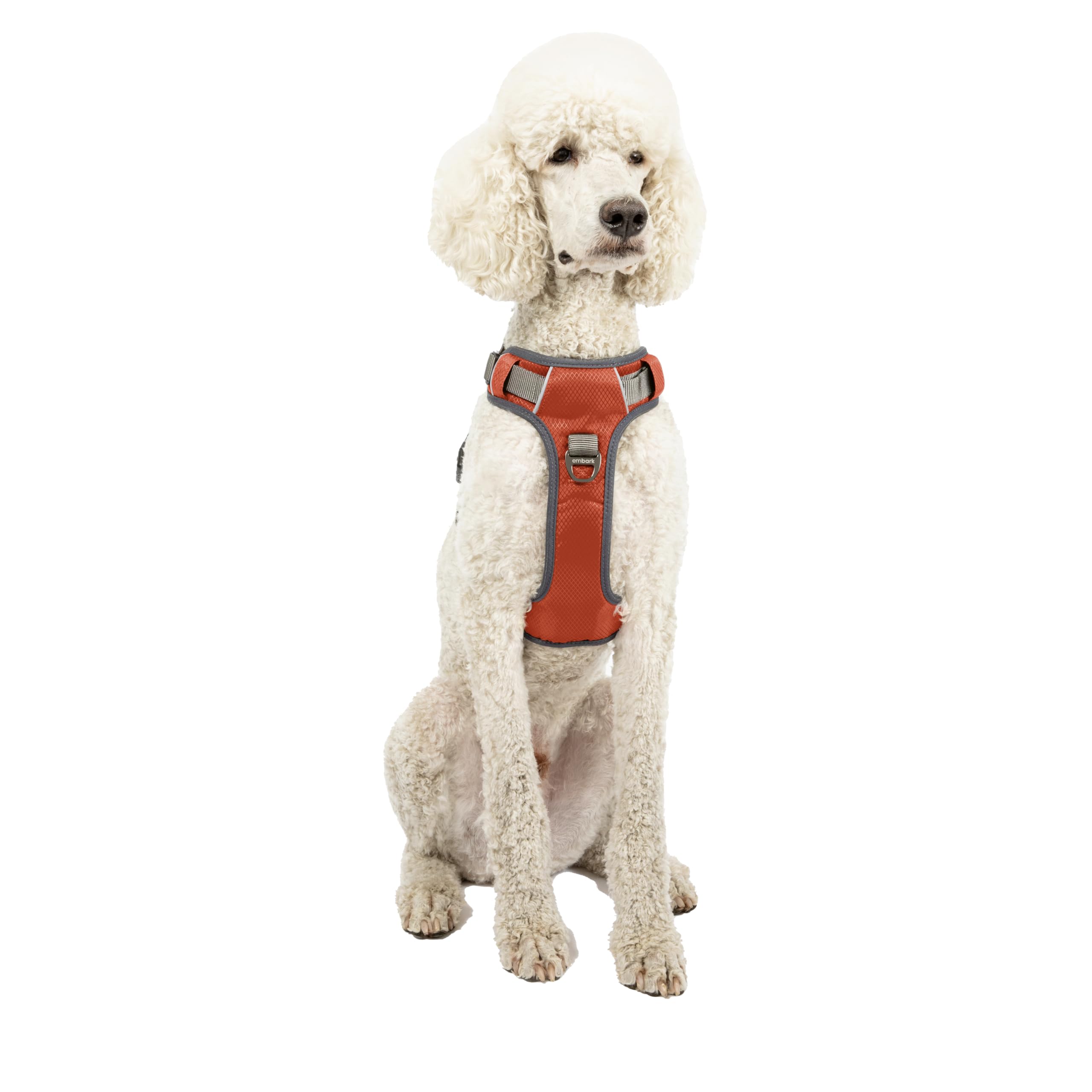 Embark Pets Embark Adventure Dog Harness, No Pull Dog Harness with 2 Leash Clips, Dog Harness for Medium Dogs No Pull. Front & Back with Con