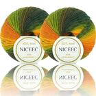 NICEEC 2 Skeins Rainbow Soft Yarn 100% Wool gradient Multi color