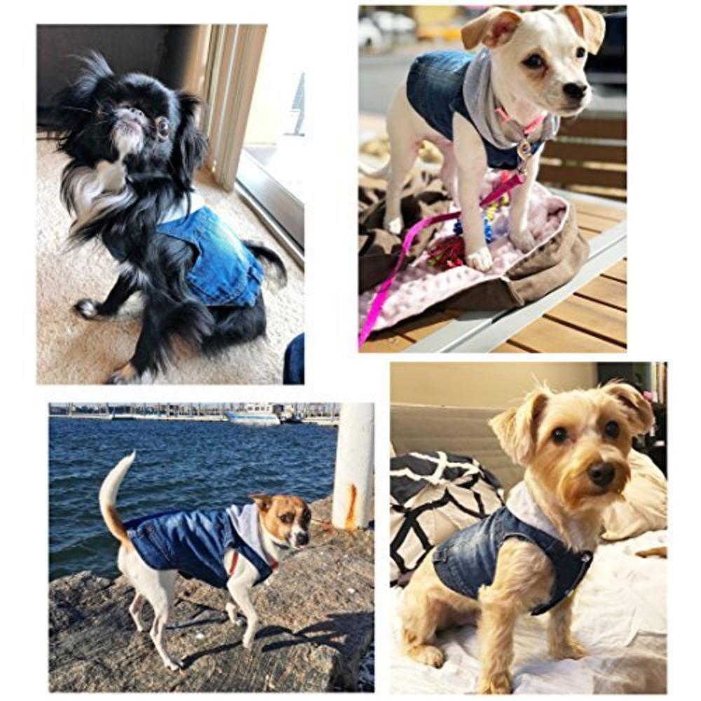 SILD Pet clothes Dog Jeans Jacket cool Blue Denim coat Small Medium Dogs Lapel Vests classic Hoodies Puppy Blue Vintage Washed c