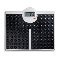 seca 813 - High Capacity Digital Flat Scale for Individual Patient use