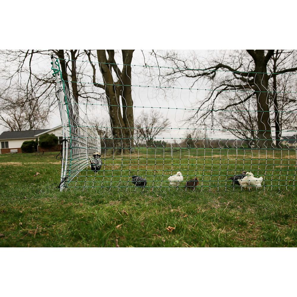 RentACoop Poultry Netting Electric Fence - Electric Poultry Enclosure for Chickens, Ducks, Turkeys - Suitable for 4 Week Old Chi