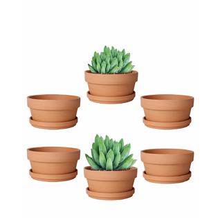 vensovo 4.5 Inch Terracotta Shallow Succulent Pot - 6 Pack Terra Cotta Clay  Pots with Saucer, Cacuts