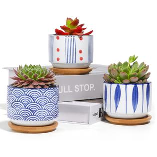 3-Inch Plant Pots 3 Inch Plant Pots: Maximize Your Mini Garden Space!