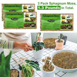 Stingmon 1.3LB Sphagnum Moss for Plants, Sphagnum Moss for Orchids