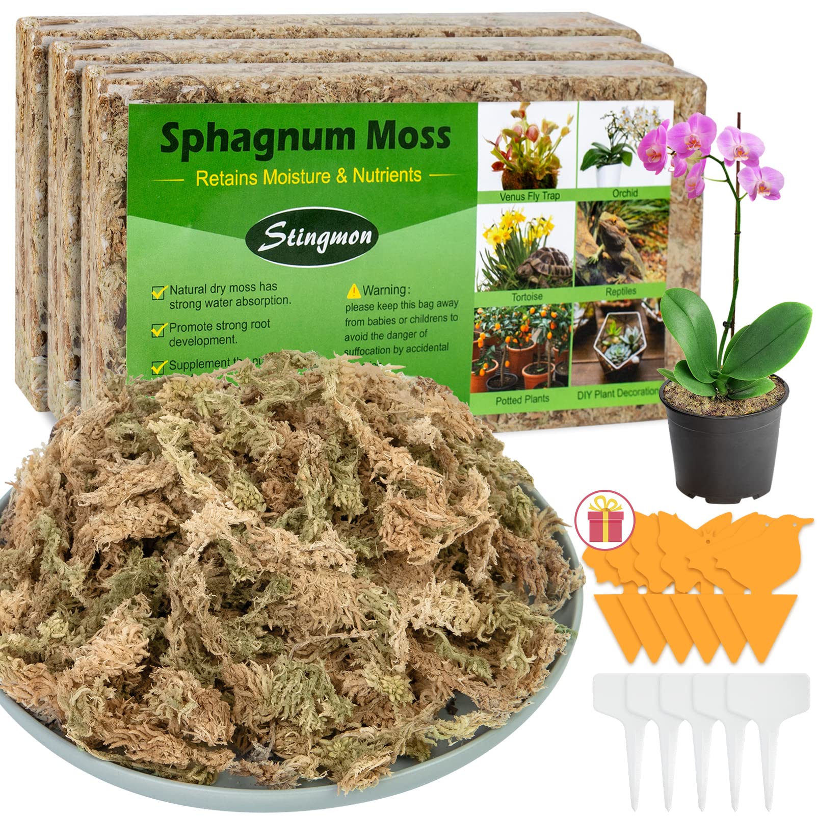 Stingmon 1.3LB Sphagnum Moss for Plants, Sphagnum Moss for Orchids Dried  Orchid Moss, Orchid Soil Peat Moss Potting Mix Soil Moss for Pot