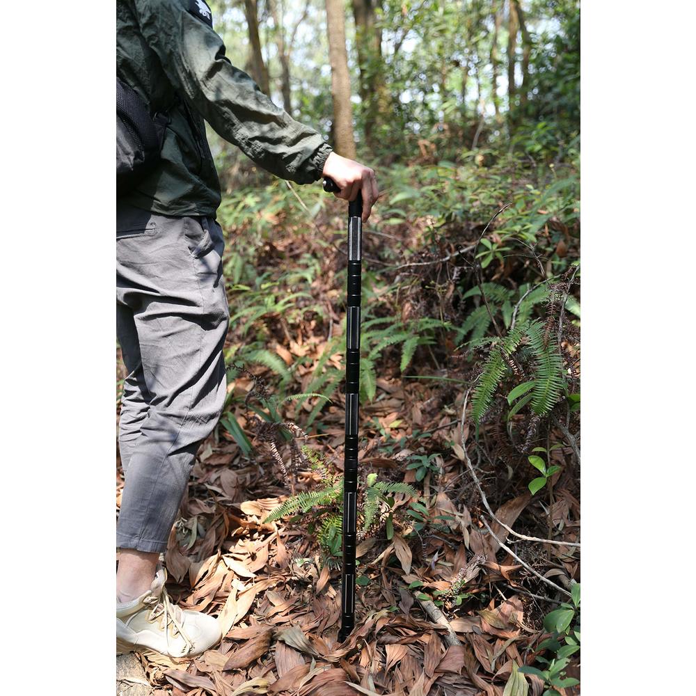 aiGear Premium Walking Hiking Stick CNC Machined Outdoor Trekking Poles Color Black(G2647)