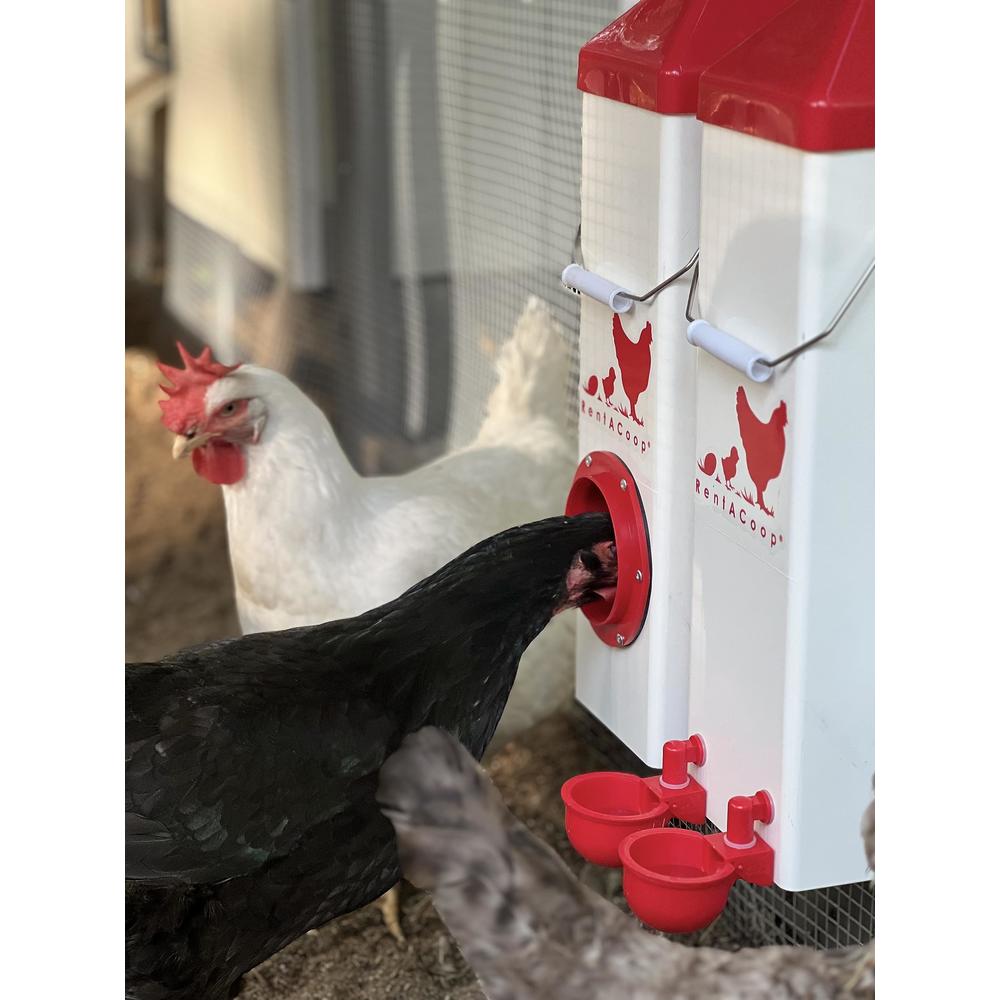 RentACoop Twin Cup Chicken Waterer and Feeder Set - 10lbs/2 Gal