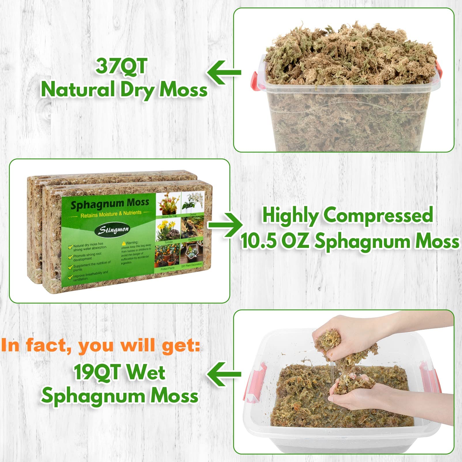 Stingmon 37QT Sphagnum Moss for Plants Sphagnum Moss for Reptiles, 10.5OZ  Natural Orchid Moss for