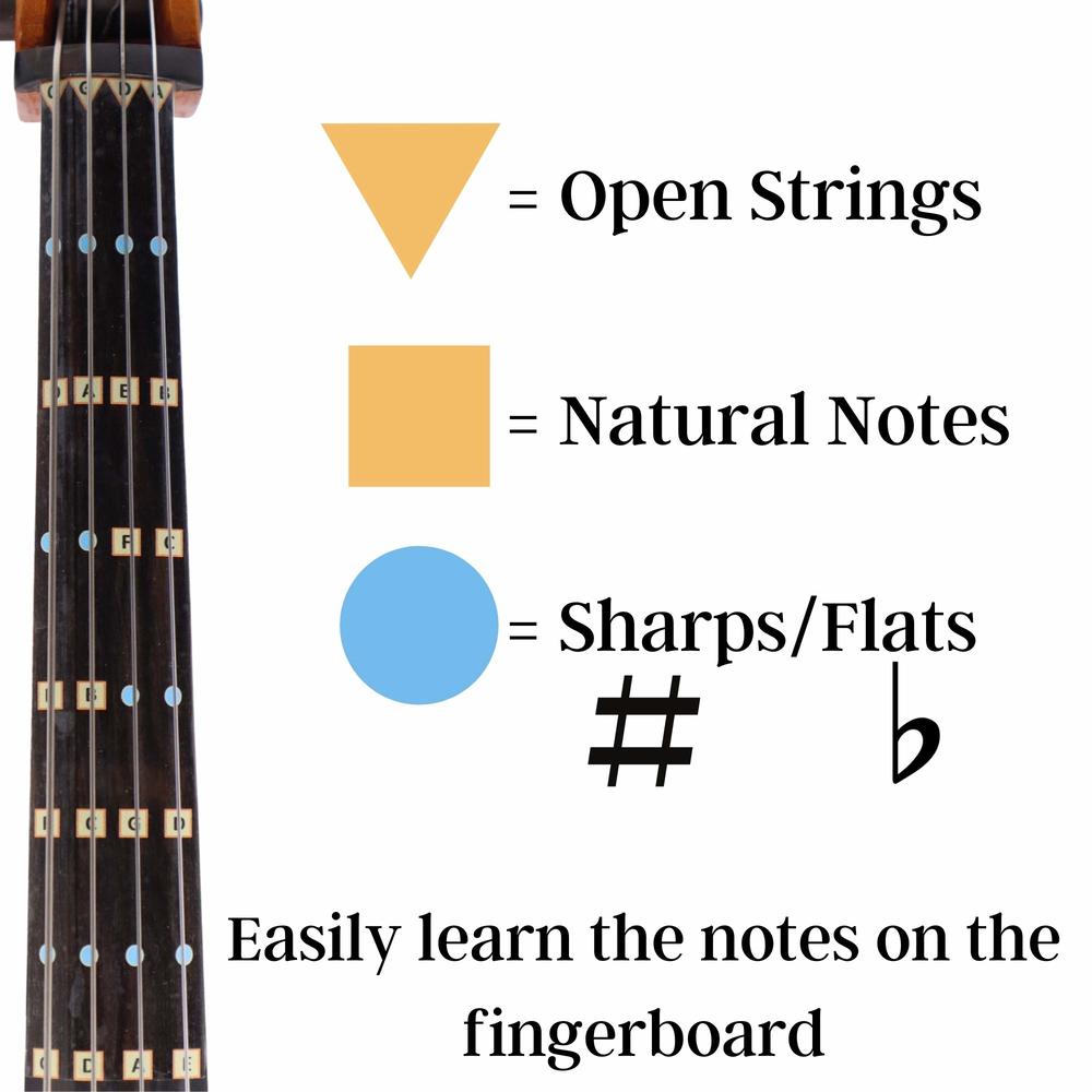 FFG NOTE THE DIFFERENCE Fantastic Finger Guide for Cellos | Stringed ...