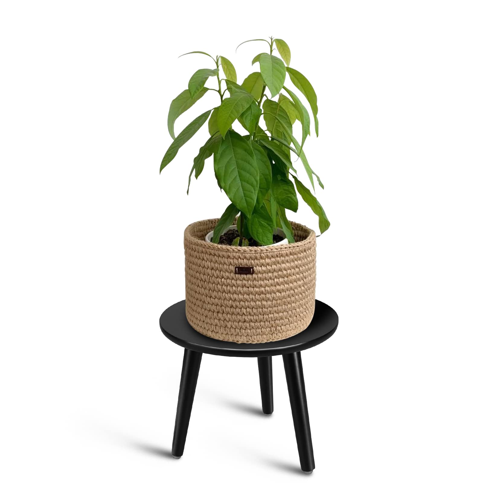 Warive Uneedem Indoor Plant Stand Wood Mid Century Plant Stand for Indoor  Plants, Modern Plant Table, 8.9" Tall Plant Holder for Flower