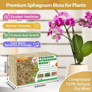 Legigo 2.2LBS Premium Sphagnum Moss for Plants- 40QT Natural Succulent  Carnivorous Plant Moss Dried, Long