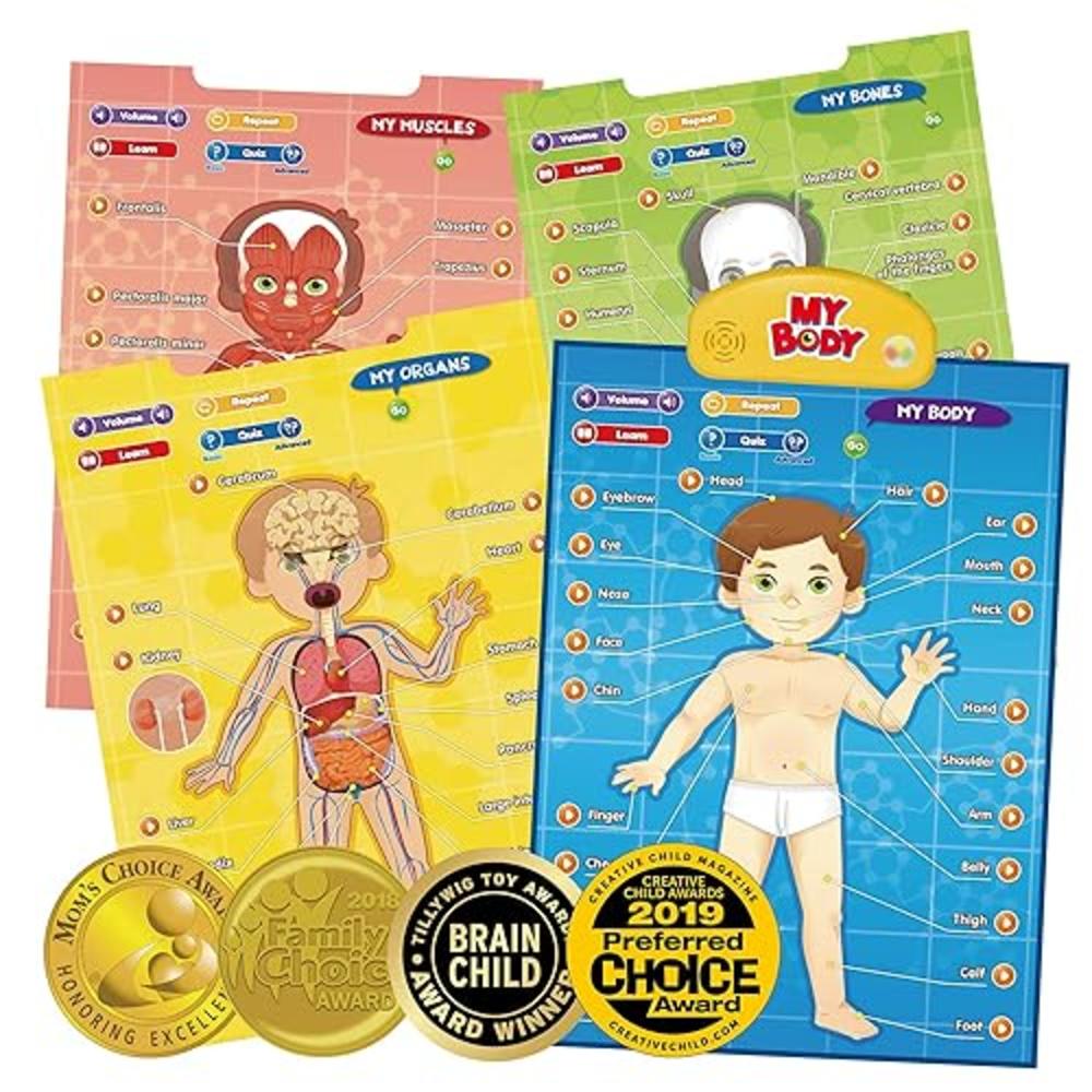 BEST LEARNING i-Poster My Body - Interactive Educational Human Anatomy Talking Game Toy System Poster to Learn Body Parts, Organ