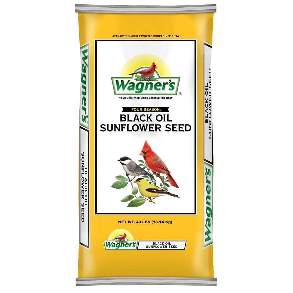 Wagner's 76029 Black Oil Sunflower Seed Wild Bird Food, 40-Pound Bag