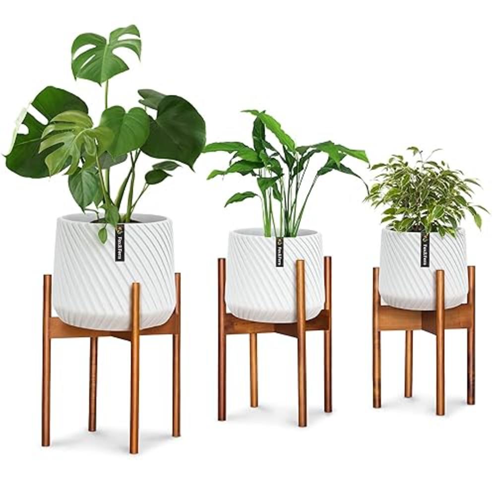 Fox & Fern Set of 3 Plant Stands for Indoor Plants Multiple, Corner Plant Stand Indoor, Indoor Plant Stand, Plant Holder - EXCLU