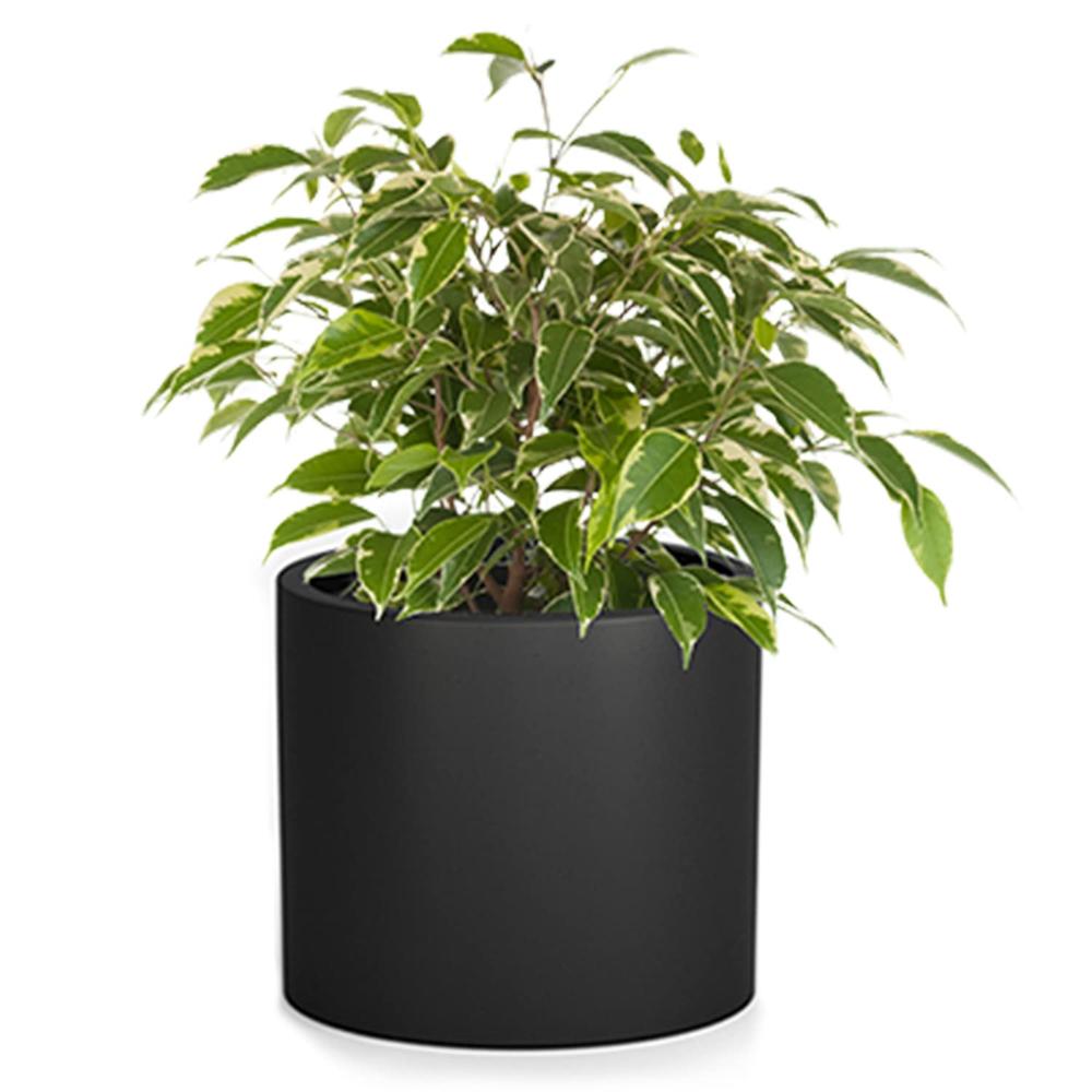 Fox & Fern 10 Inch Plant Pots Indoor, Black Planters for Indoor Plants, Flower Pots for Indoor Plants - Fits Mid Century Modern