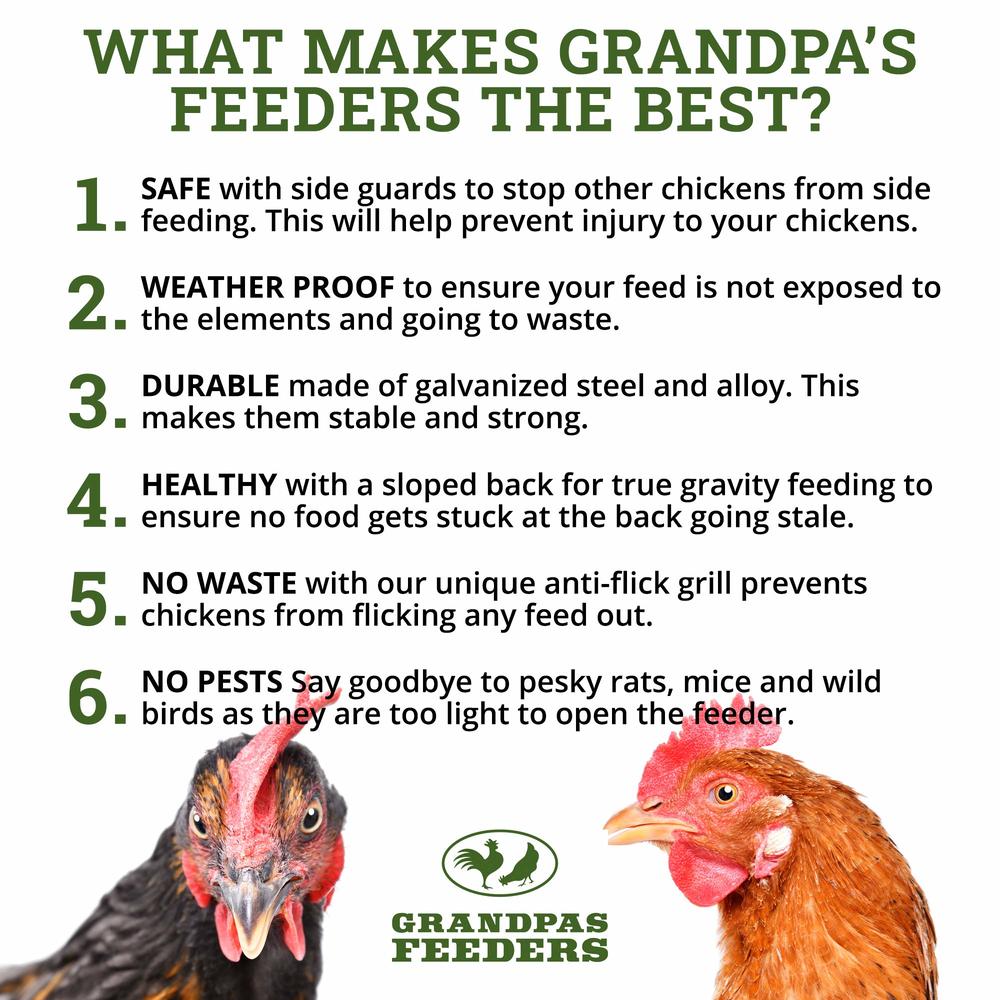 Grandpa's Feeders Automatic Chicken Feeder - Sturdy Galvanized Steel Poultry Feeders - No Spill with Weatherproof Lid - Standard