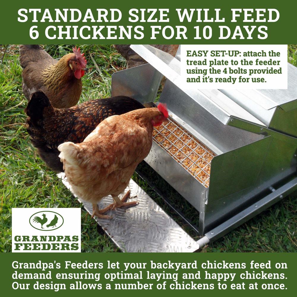 Grandpa's Feeders Automatic Chicken Feeder - Sturdy Galvanized Steel Poultry Feeders - No Spill with Weatherproof Lid - Standard