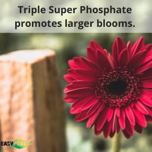 Easy Peasy TRIPLE SUPER PHOSPHATE FERTILIZER 0-46-0 | phosphorus fertilizer for gardens, lawns, indoor and outdoor plants | ROCK PHOSPHATE 