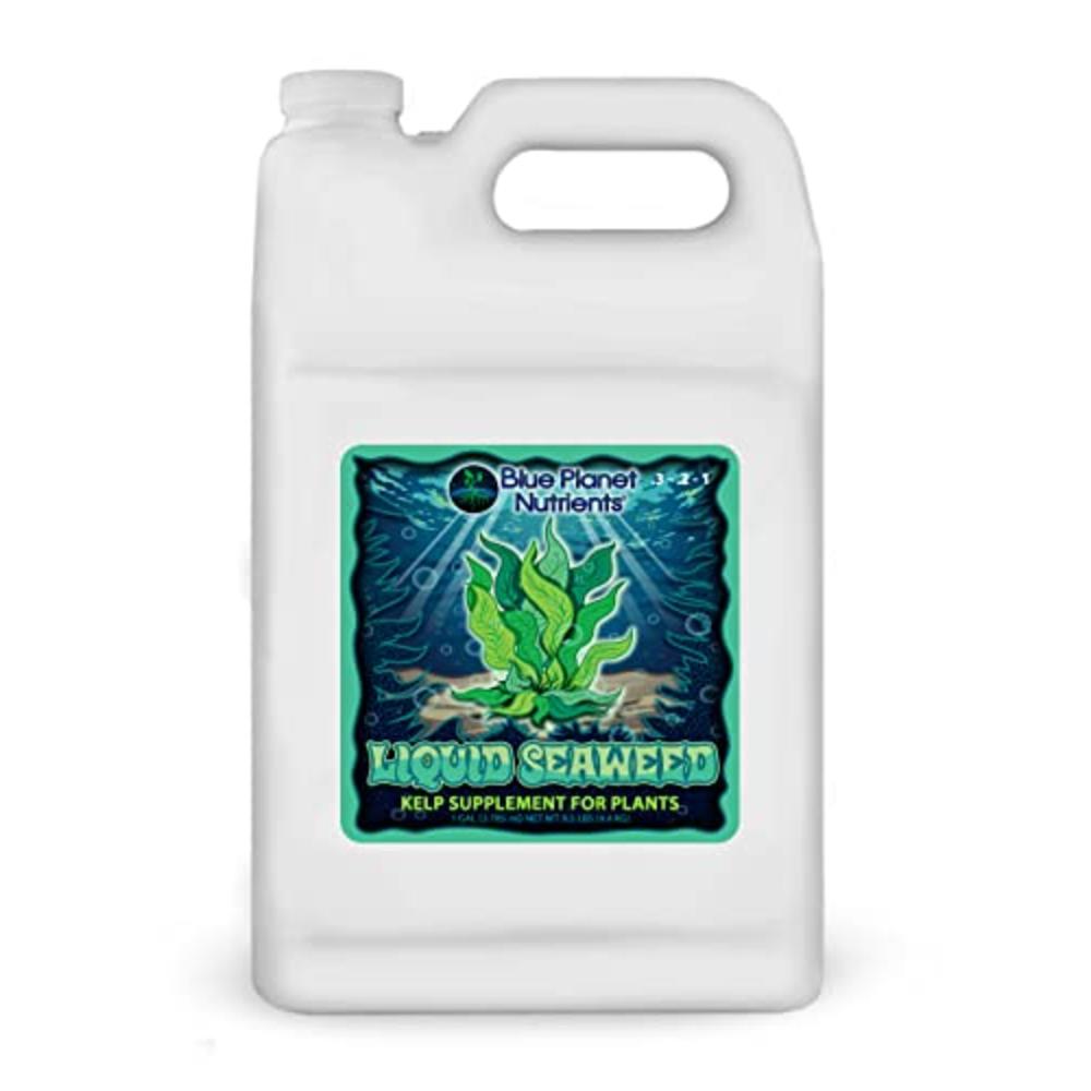 Blue Planet Nutrients Liquid Seaweed for Plants (128 oz) Gallon | Concentrated Liquid Kelp Supplement | Makes UP to 1,890 GALLONS | for All Plants & G