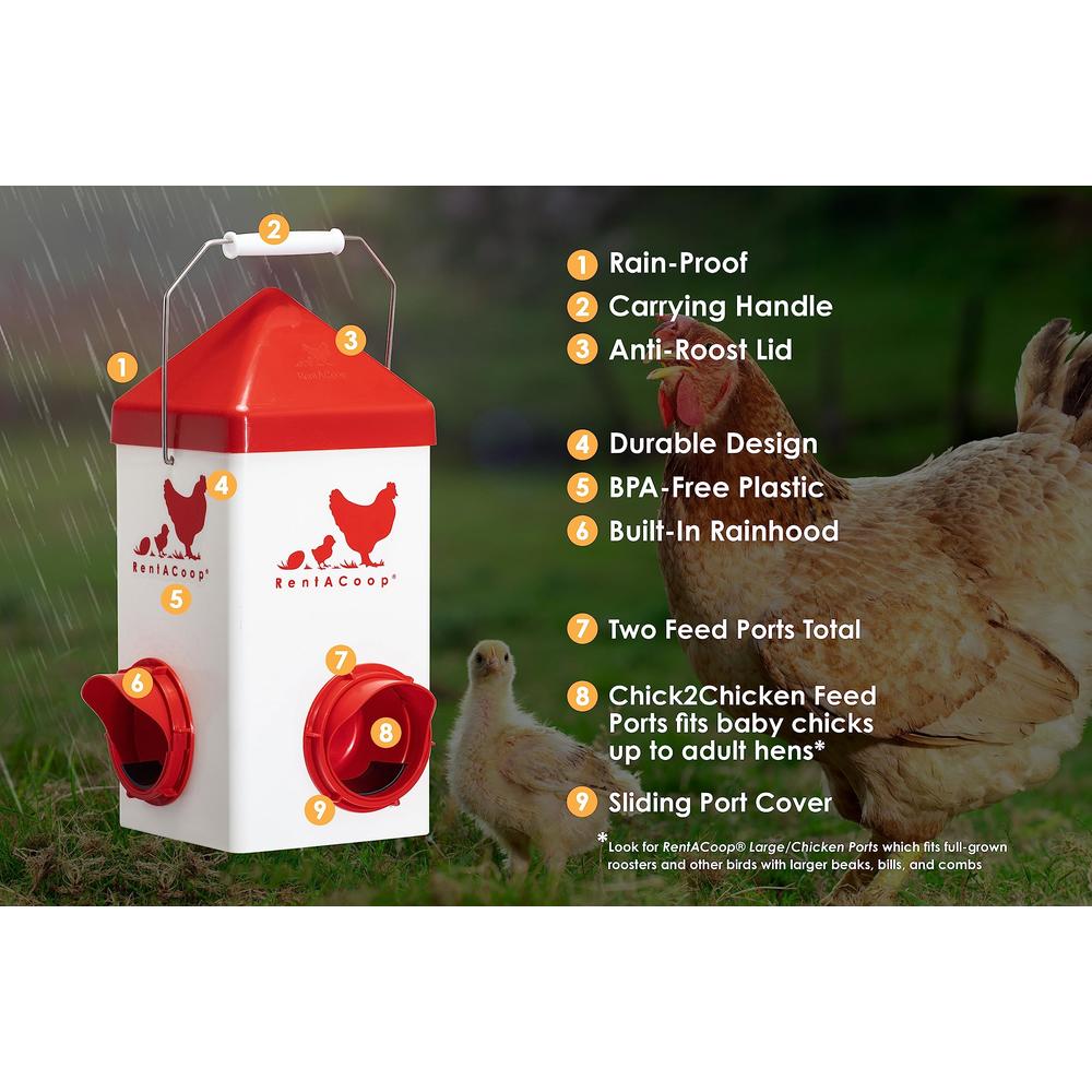RentACoop Chick2Chicken 5lb 2-Port Feeder - Includes Anti-Roost Lid and Slider Port Covers - Suitable for Quail, Pigeons, Doves,