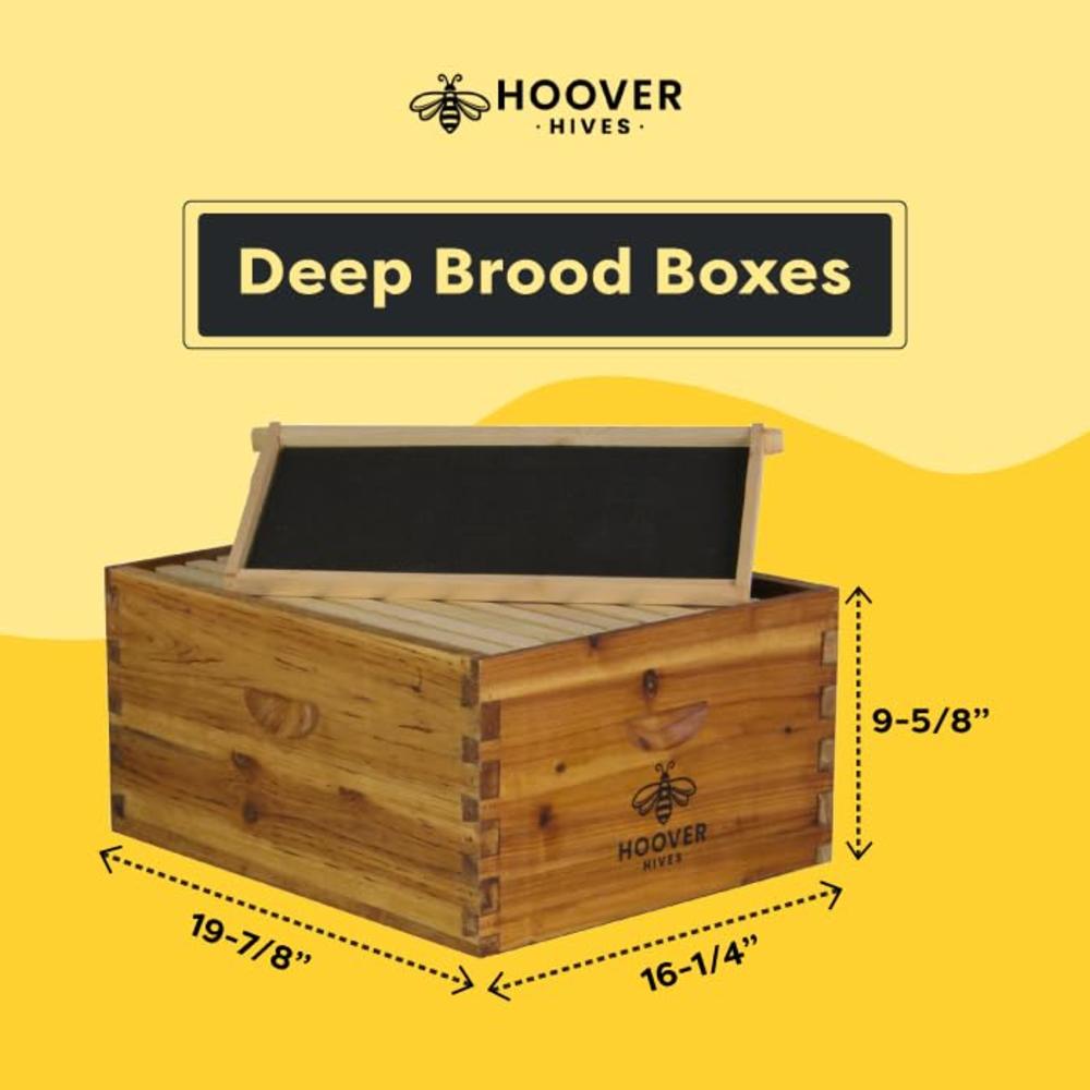 Hoover Hives 10 Frame Langstroth Beehive Dipped in 100% Beeswax Includes Wooden Frames & Waxed Foundations (2 Deep Boxes, 1 Medi