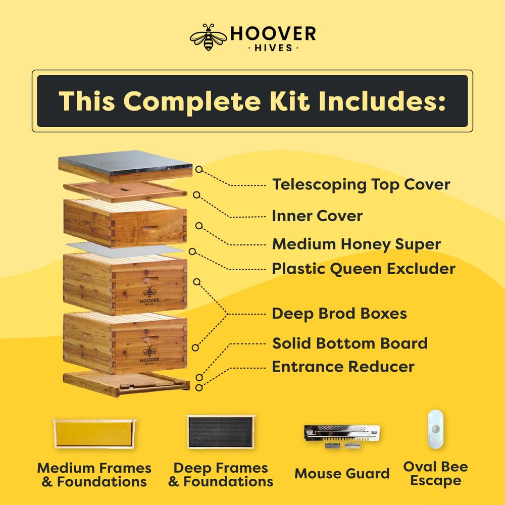 Hoover Hives 10 Frame Langstroth Beehive Dipped in 100% Beeswax Includes Wooden Frames & Waxed Foundations (2 Deep Boxes, 1 Medi