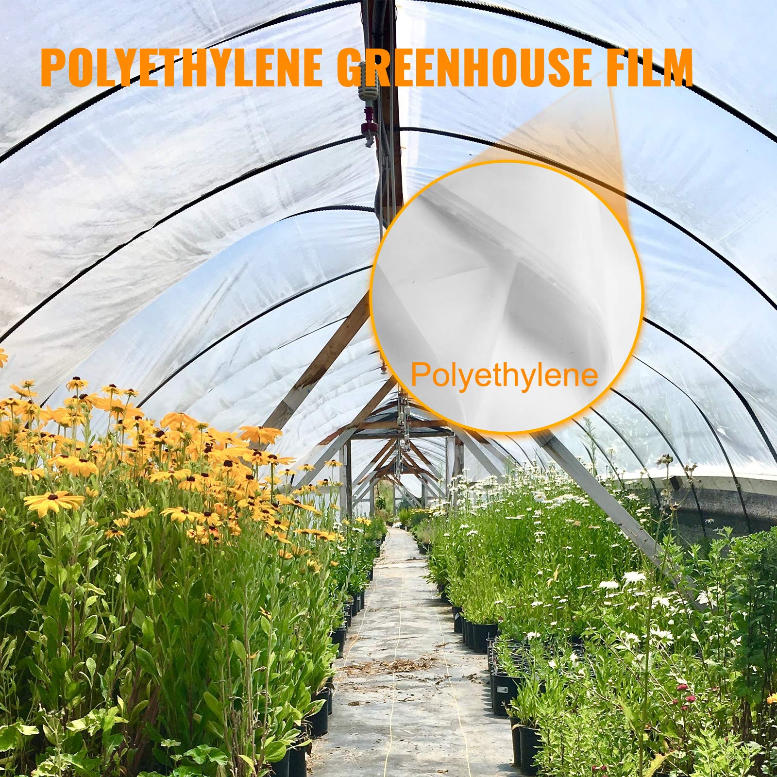 Happybuy greenhouse Film 25 x 40 ft, greenhouse Polyethylene Film 6 Mil Thickness, greenhouse Plastic greenhouse clear Plastic F