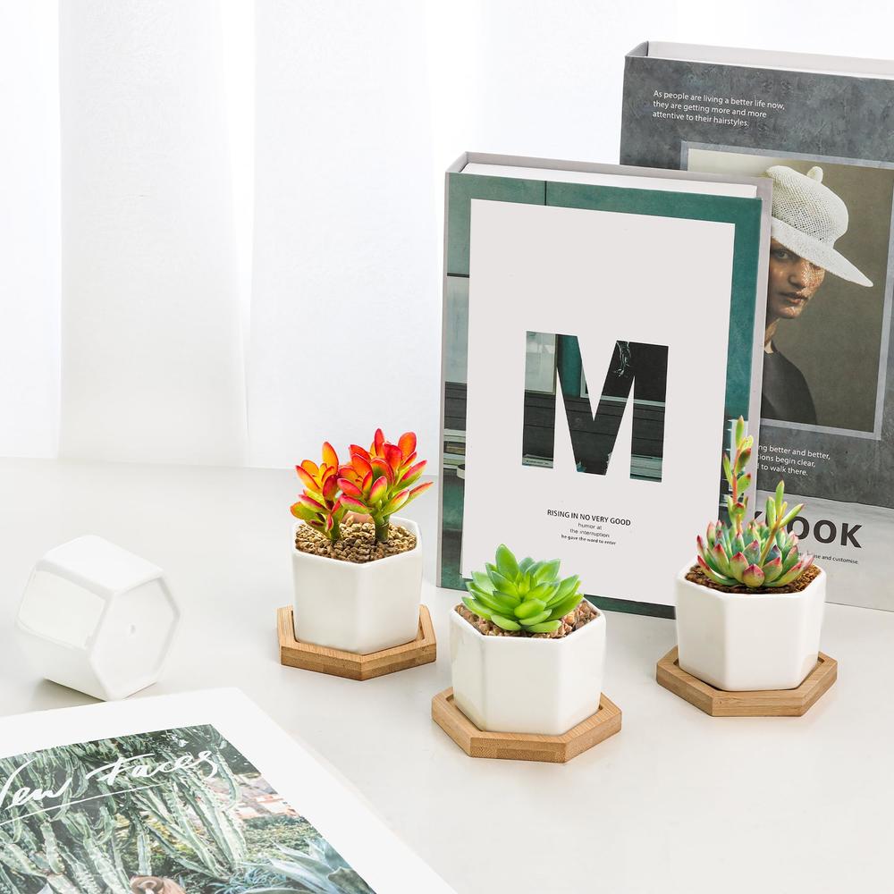 T4U Small White Succulent Planter Pots with Bamboo Tray Hexagon Set of 6, Geometric Cactus Plant Holder Container for Home Offic