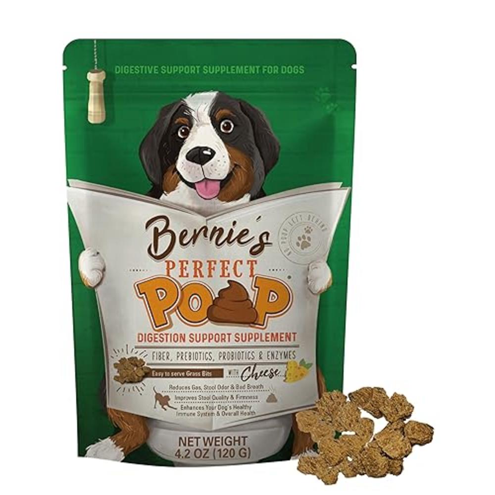 Bernie's Perfect Poop Digestion & general Health Supplement for Dogs ...