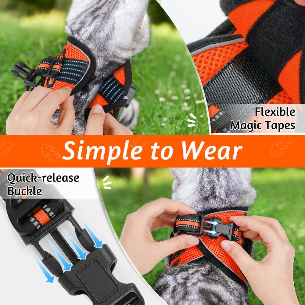 rabbitgoo cat Harness and Leash Set for Walking Escape Proof