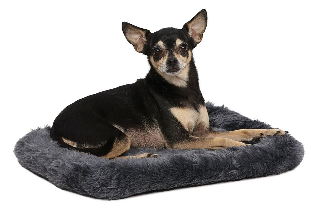 MidWest Homes for Pets Bolster Dog Bed 18L-Inch gray Dog Bed or cat Bed w comfortable Bolster  Ideal for Toy Dog Breeds & Fits a