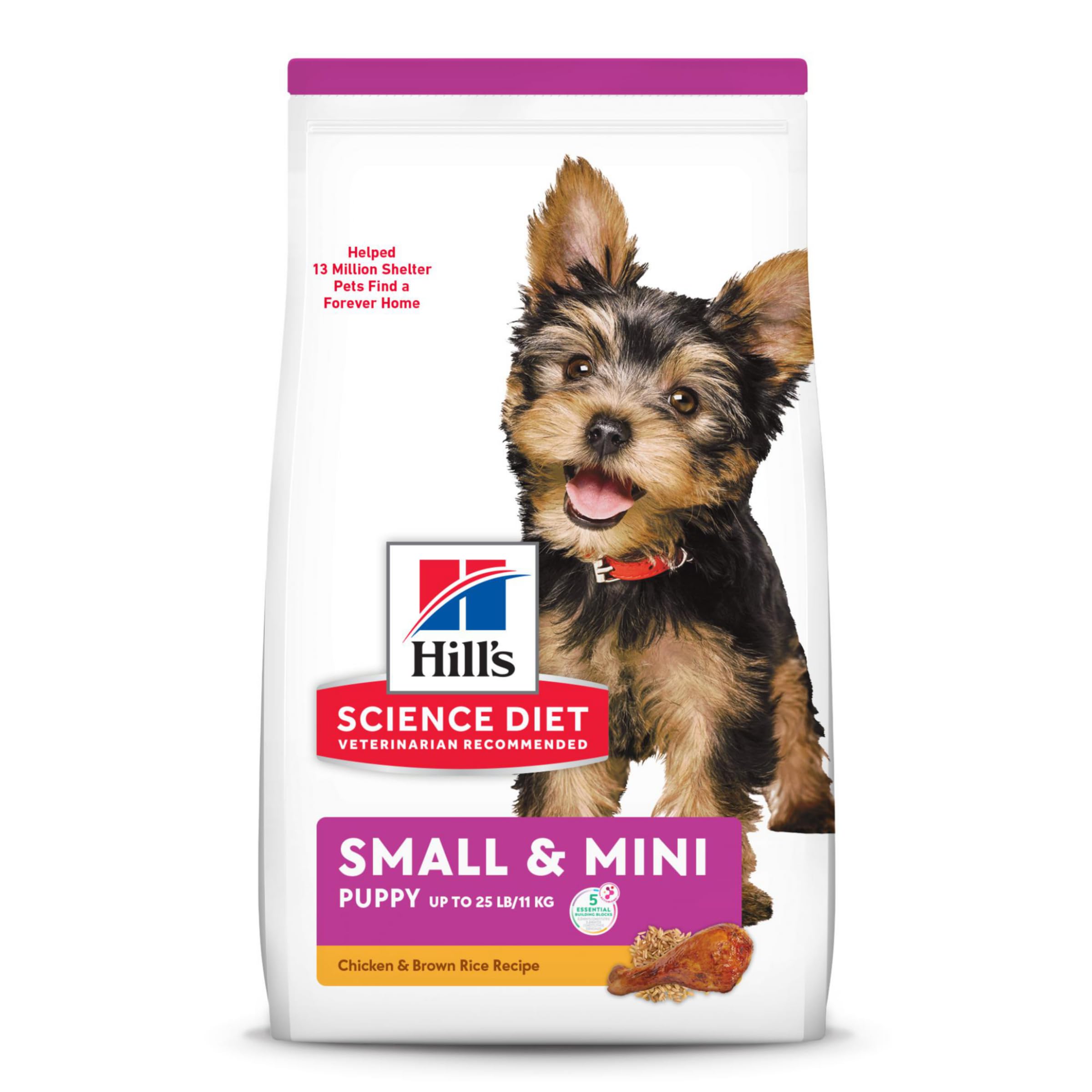 Hill's Science Diet Hills Science Diet Dry Dog Food, Puppy, Small Paws for Small Breeds, chicken Meal, Barley & Brown Rice Recipe, 45 lb Bag