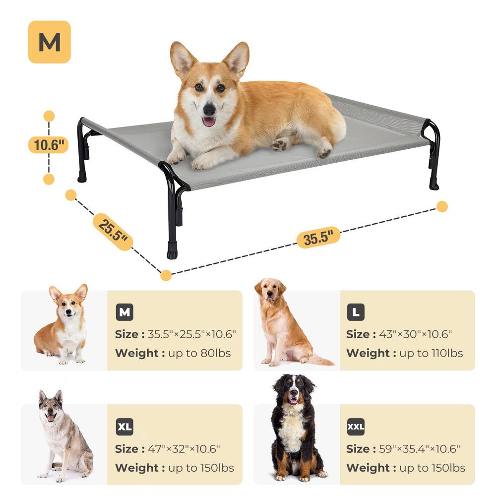 Beautiful view of Practical Elevate Dog Cot Bed With Storage