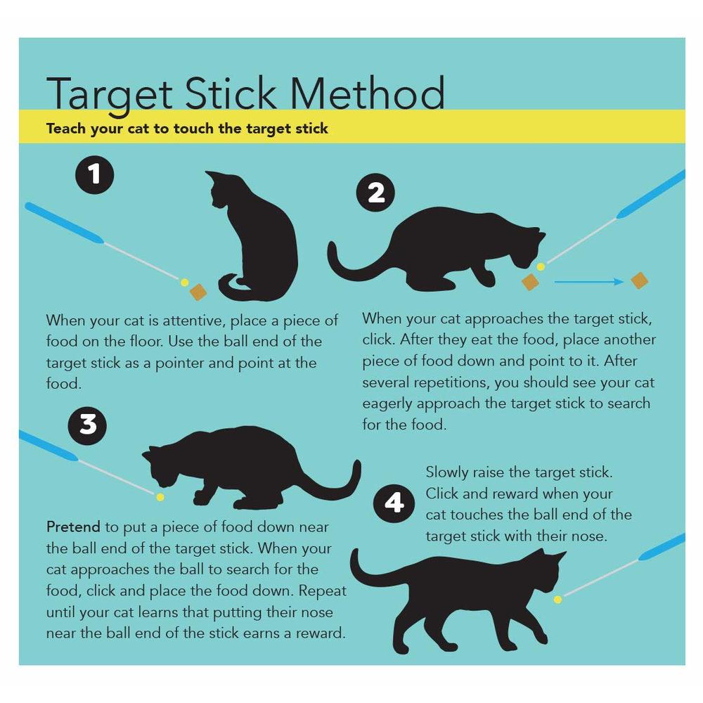 Target Clicker cAT ScHOOL clicker Training Kit - 1 cat Training clicker, 1 Target ...